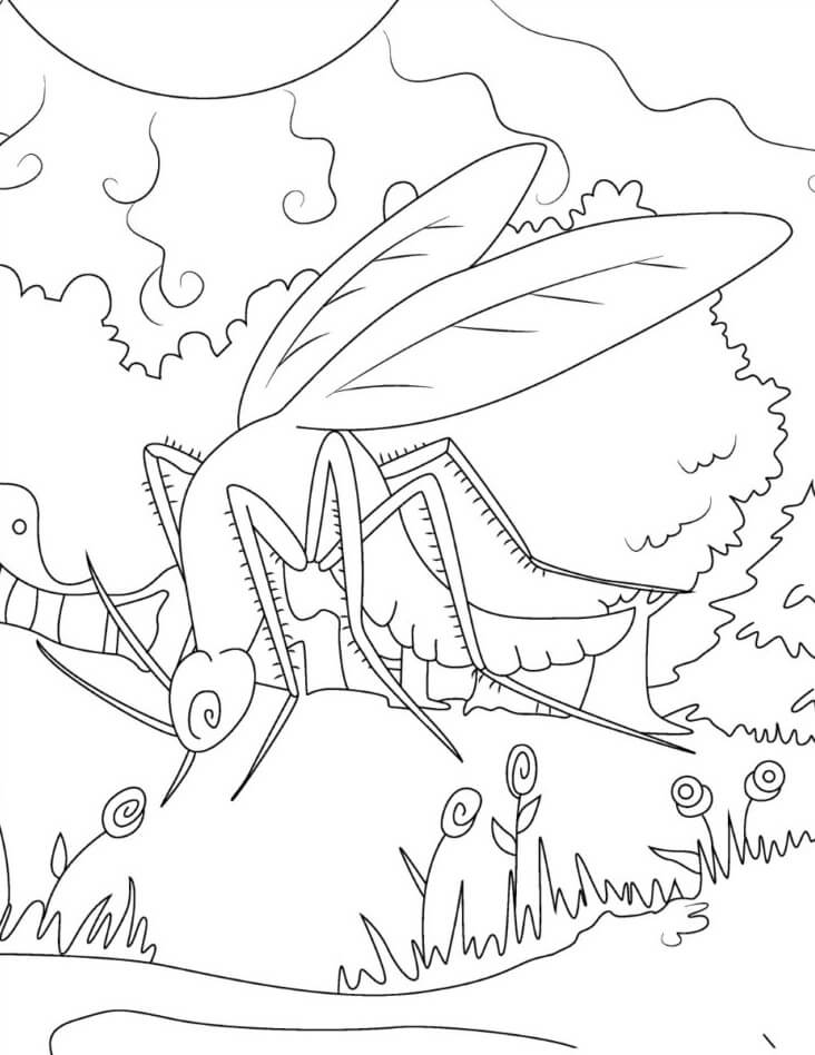 Desenhos de Doce Mosquito para colorir