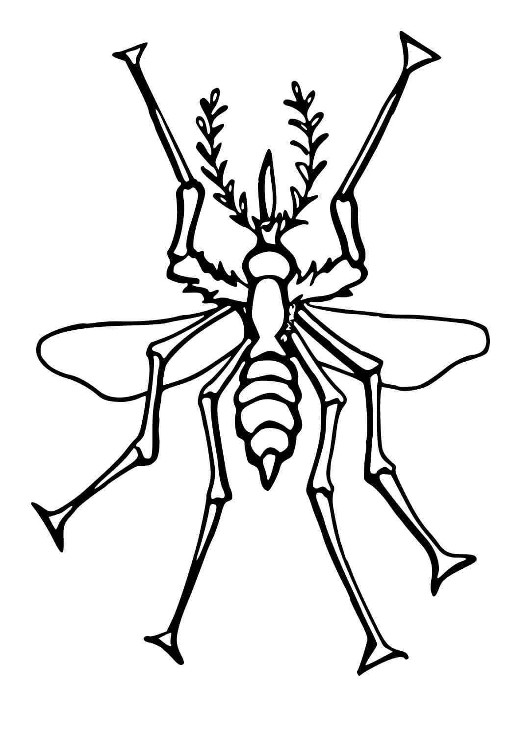 Desenhos de Download Grátis De Mosquito para colorir
