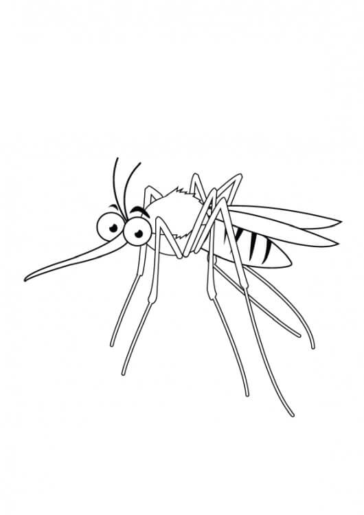Idéia Livre De Mosquitos para colorir