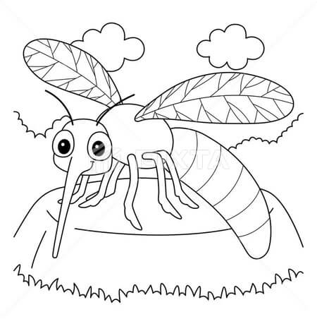 Desenhos de Mosquito Básico para colorir
