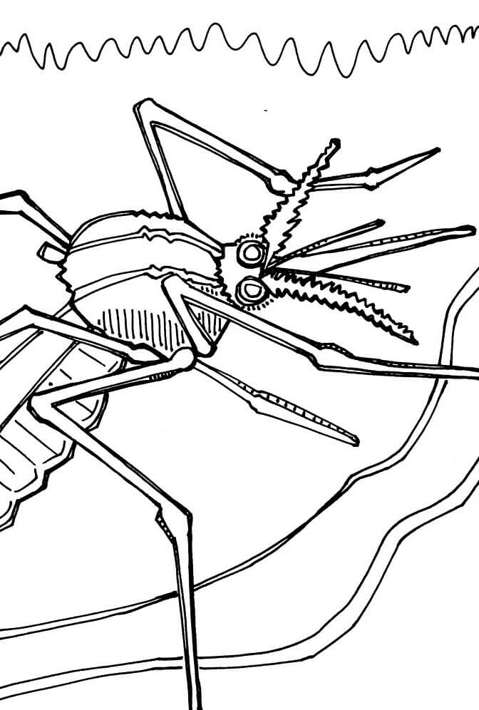 Desenhos de Mosquito Da Dengue para colorir