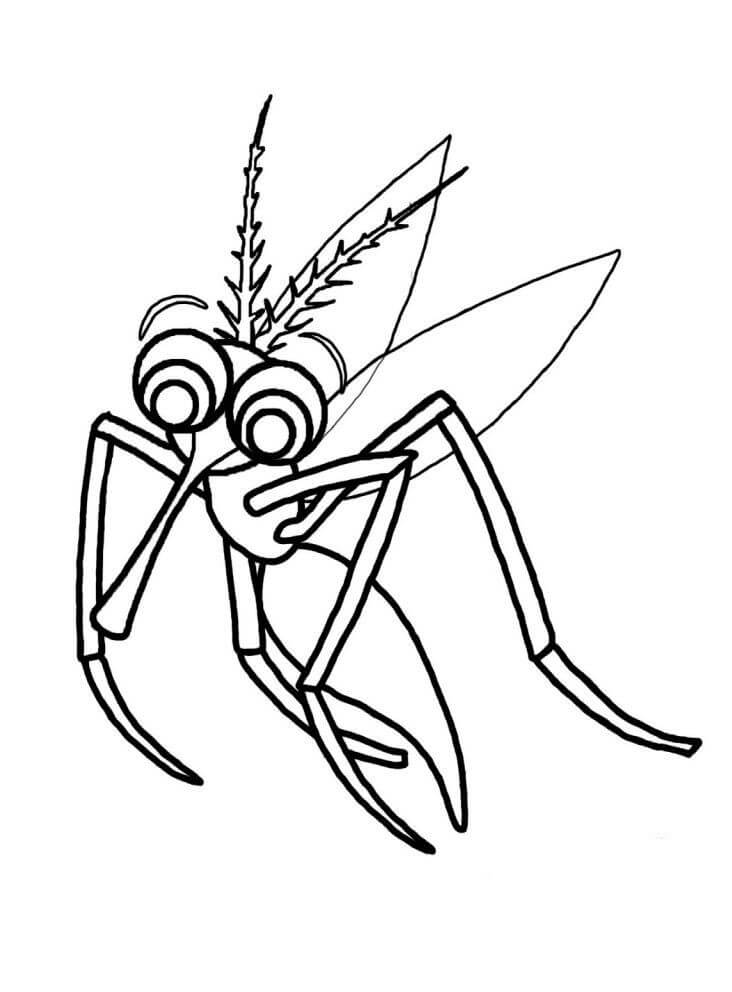 Desenhos de Vetor Grátis De Mosquito para colorir