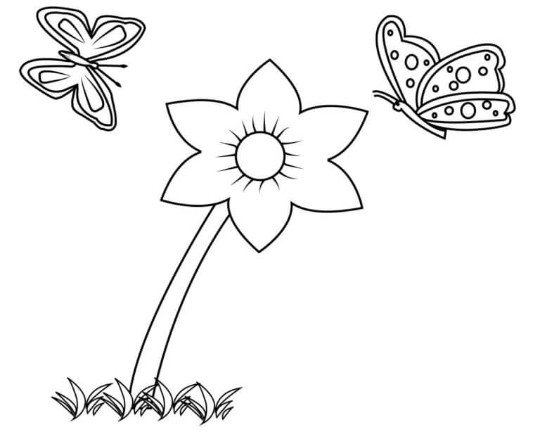 Desenhos de Prima Floare De Primavara para colorir