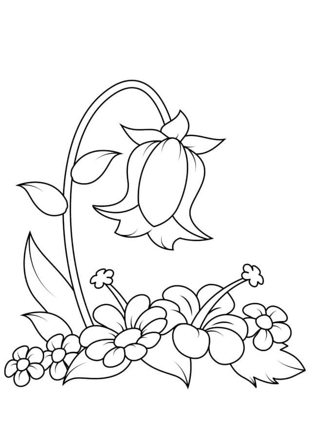 Desenhos de Bellflower Em Uma Clareira Na Floresta para colorir