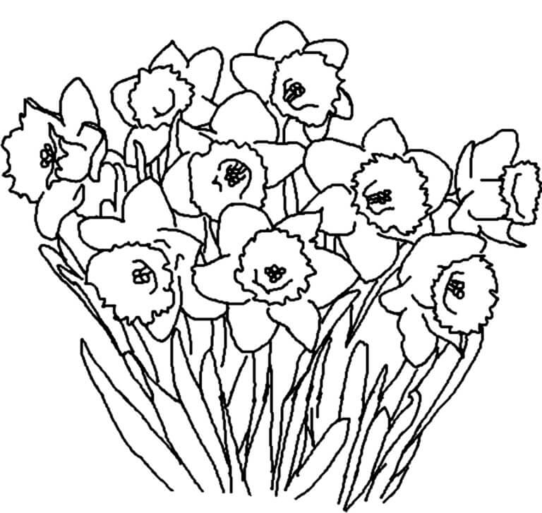 Desenhos de Bouquet Delicado De Primavera para colorir