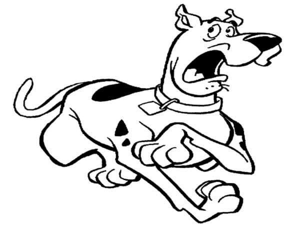 Desenhos de Desenhando Scooby Doo Assustado para colorir
