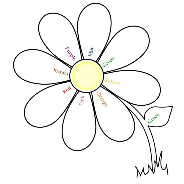 Desenhos de Flor De Sete Cores para colorir