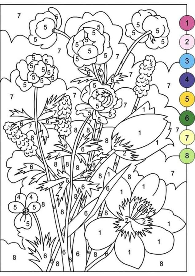 Flores Da Primavera, Cor Por Número para colorir