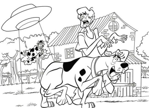 Desenhos de Salsicha Rogers e Scooby-Doo Assustados Com OVNI para colorir