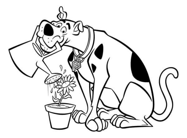 Desenhos de Scooby-Doo Regando Flores para colorir