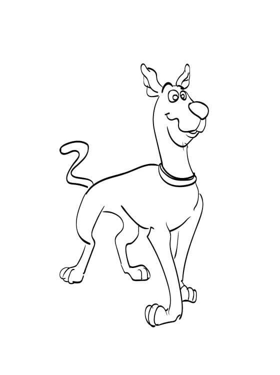 Scooby-Doo Simples para colorir