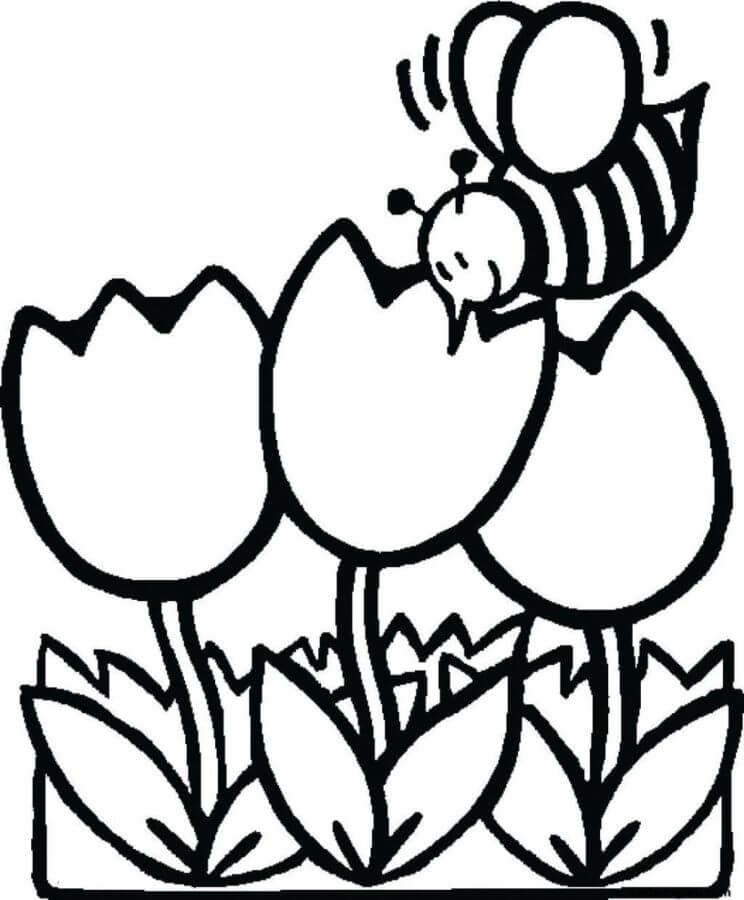 Desenhos de Uma Abelha Poliniza Uma Tulipa Primaveril para colorir