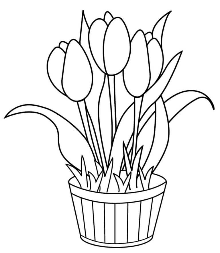 Desenhos de Vasos Com Tulipas para colorir