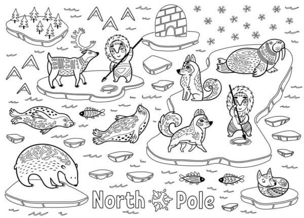 Desenhos de A Rica Vida Dos Habitantes Do Pólo Norte para colorir