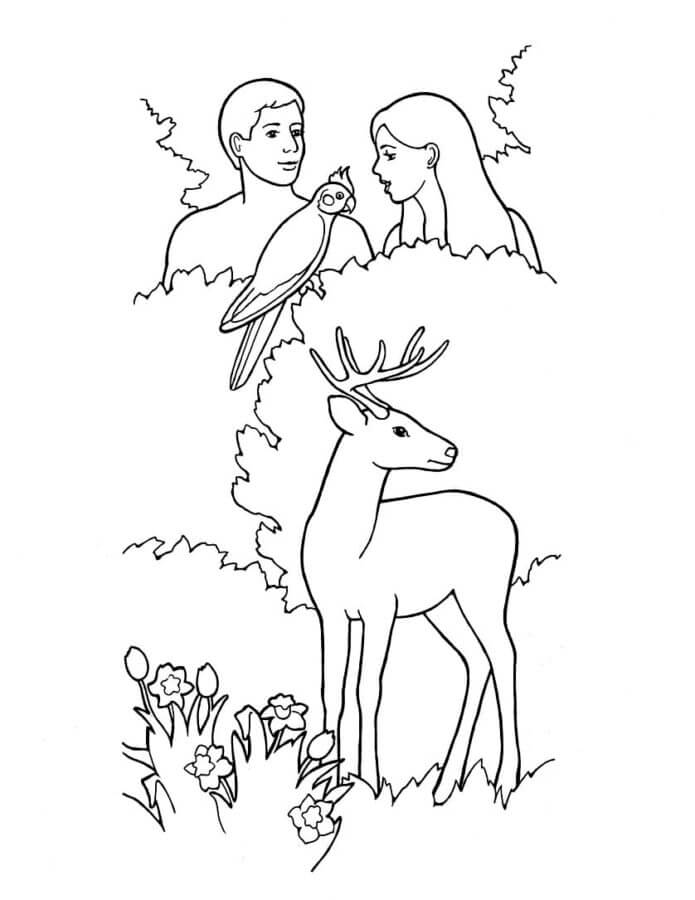 Desenhos de Adão e Eva se Escondem Nos Arbustos para colorir