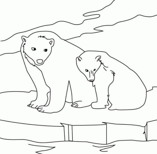 Desenhos de Dois Ursos Procurando Peixes para colorir