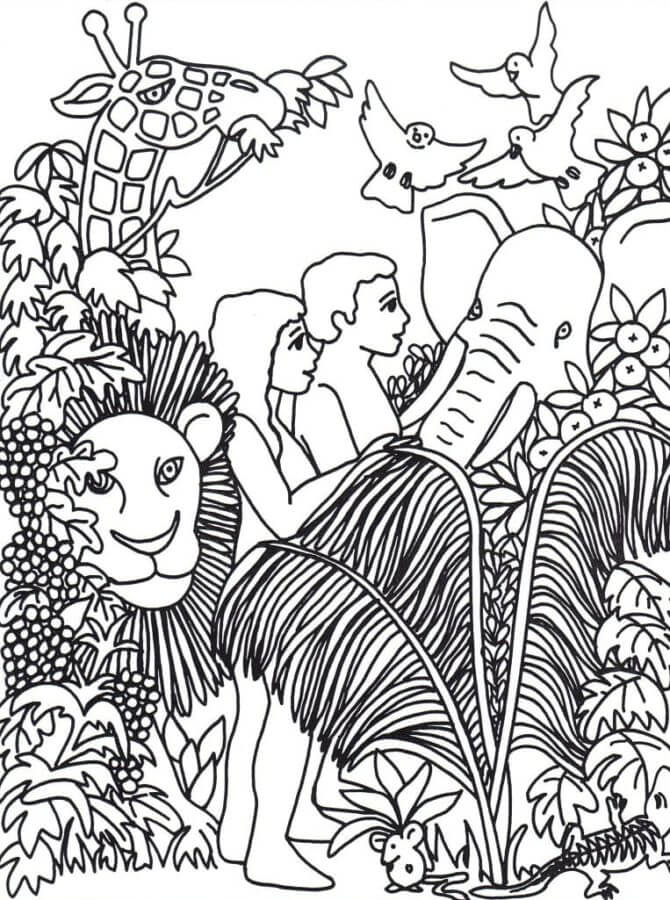 Elefante, Girafa, Leão e Pássaros Cercaram Adão e Eva para colorir