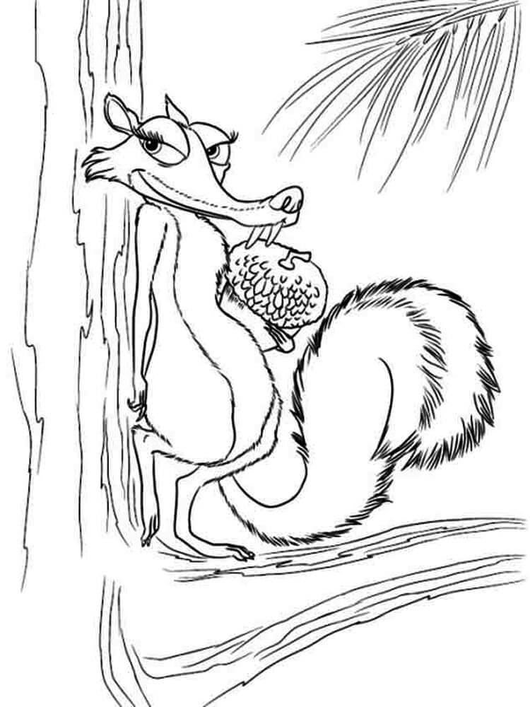 Desenhos de Esquilo Com Bolota para colorir