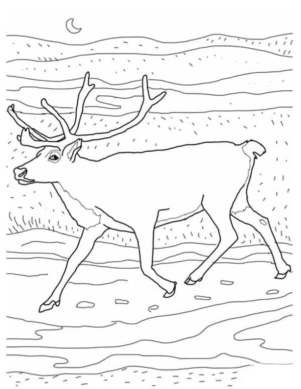 Desenhos de Extensões Cobertas De Neve Pelas Quais o Cervo Corre para colorir