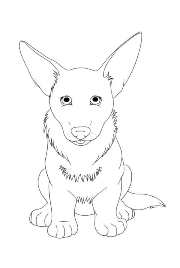Desenhos de Filhote De Cachorro Welsh Corgi Obediente para colorir