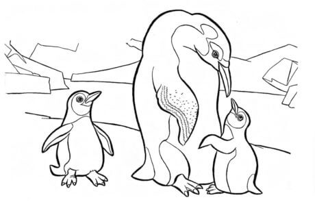 Mãe e Dois Pinguins Bebês para colorir