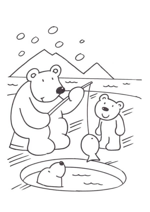 Desenhos de Pesca Do Urso Do Norte para colorir