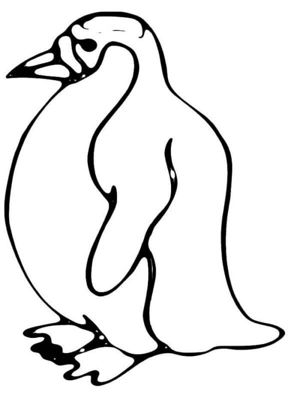 Desenhos de Pinguim Com Peito Branco para colorir