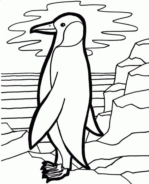 Desenhos de Pinguim Em Pé para colorir
