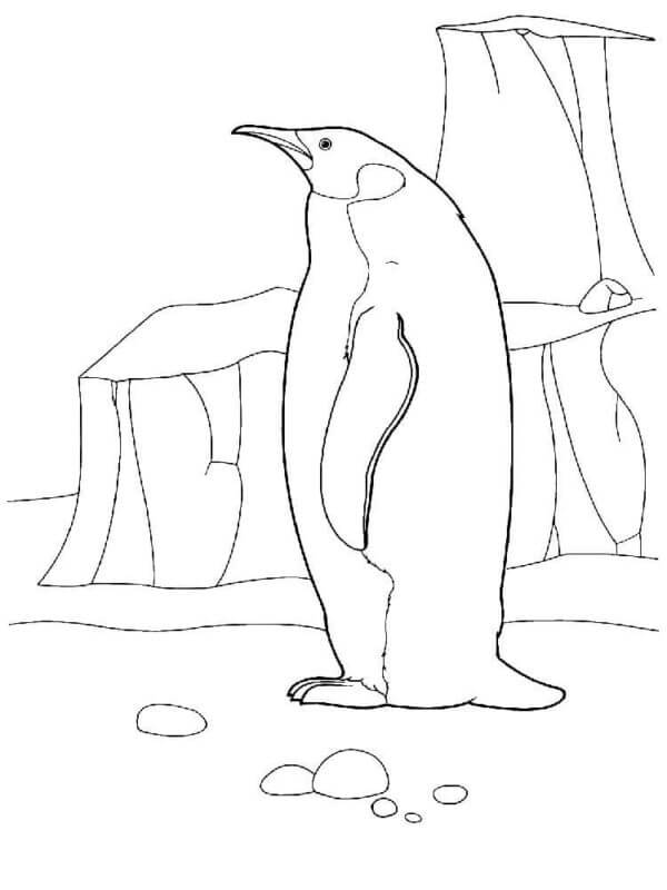 Desenhos de Pinguim Solitário Se Aquecendo Ao Sol para colorir