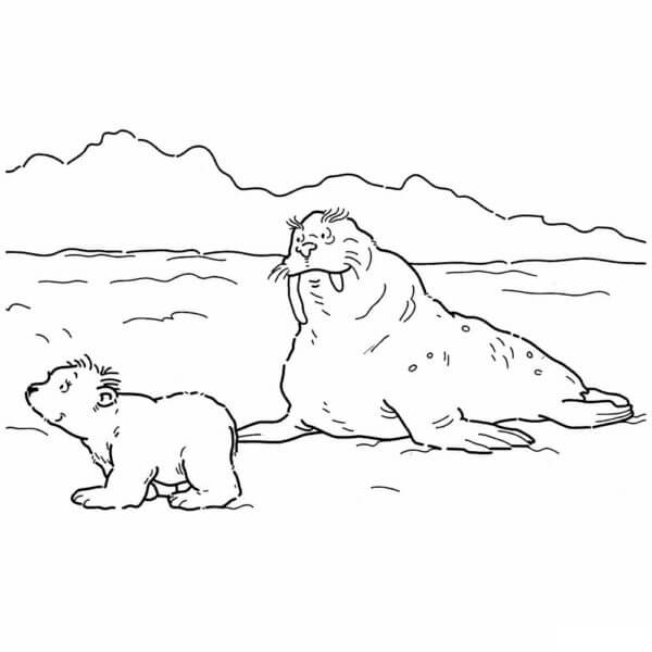 Uma Morsa Cuida De Um Pequeno Urso Polar para colorir