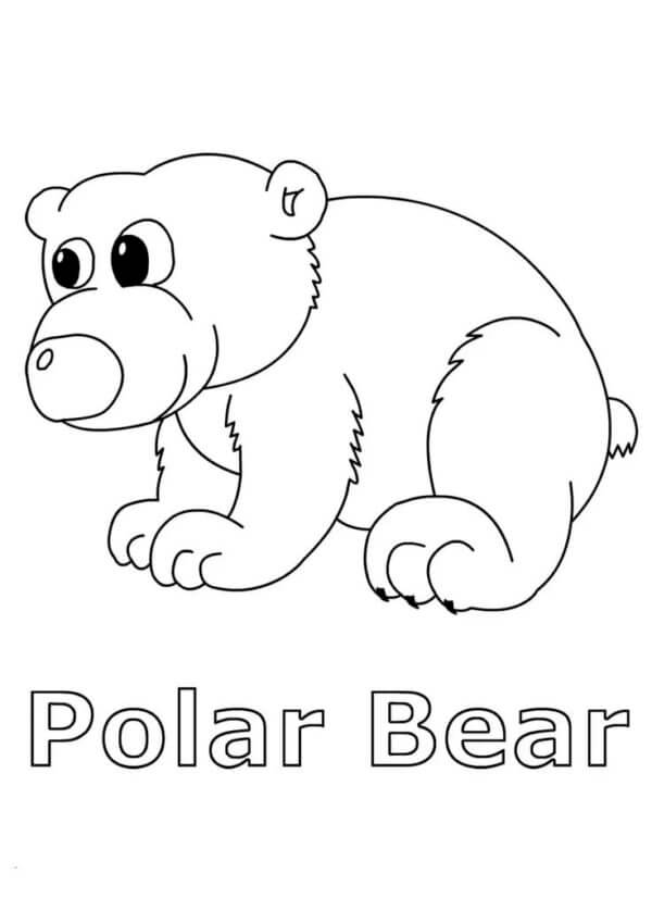 Urso Do Norte para colorir