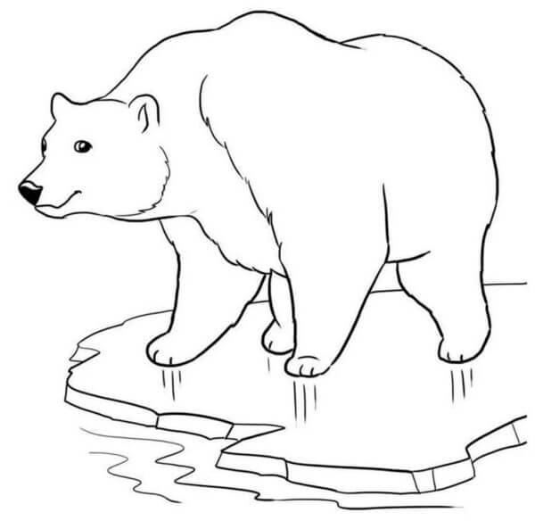 Urso Em Um Bloco De Gelo Quebrado para colorir