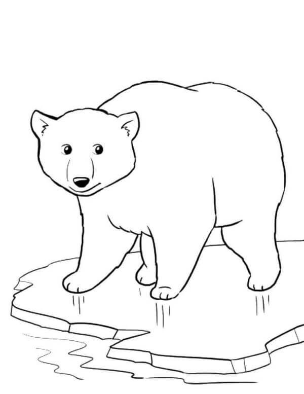 Urso Viajando No Gelo para colorir