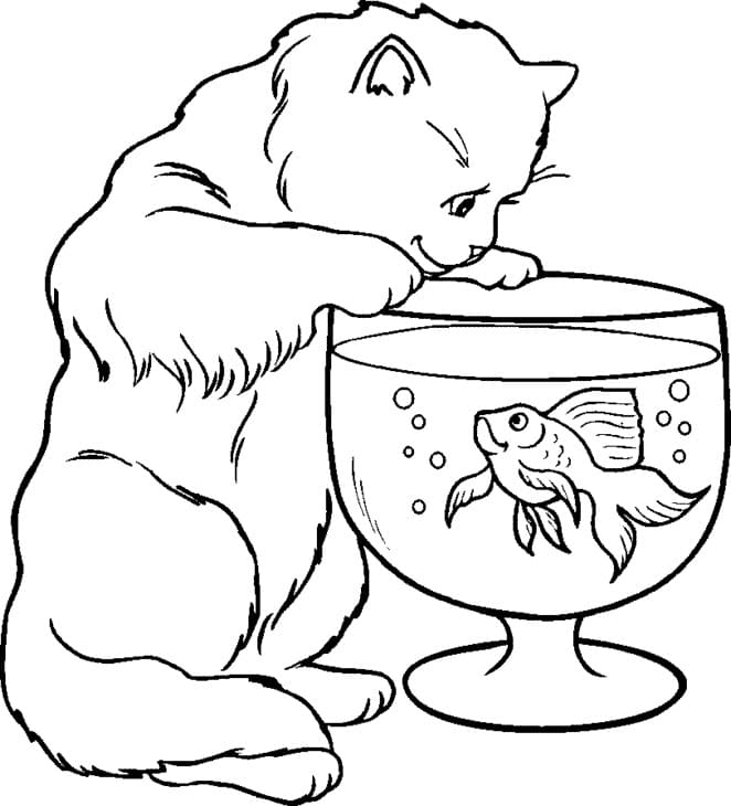 Desenhos de Aquário Para Observação De Gatos para colorir