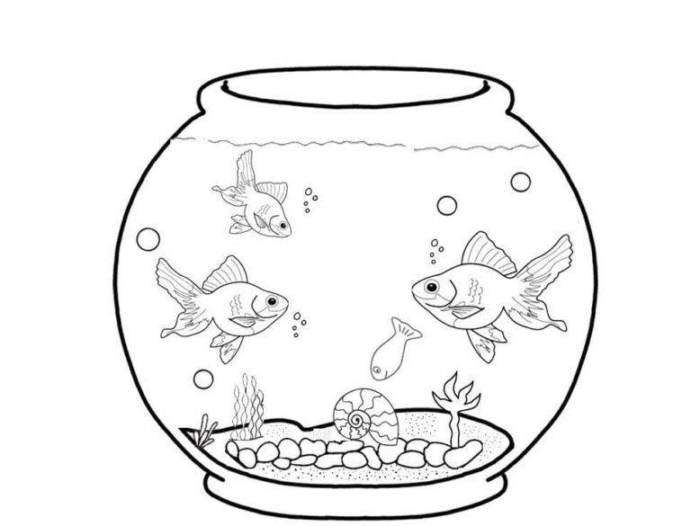 Desenhos de Caracol e Peixes No Aquário para colorir