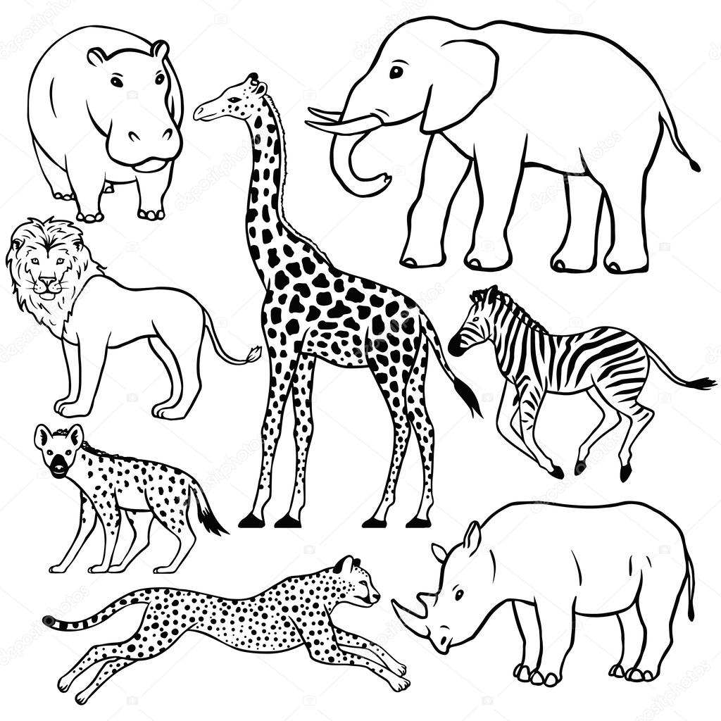 Desenhos de Conjunto De Animais Africanos para colorir