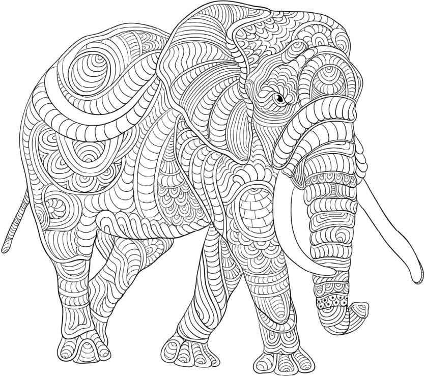 Desenhos de Elefante Africano Andando para colorir