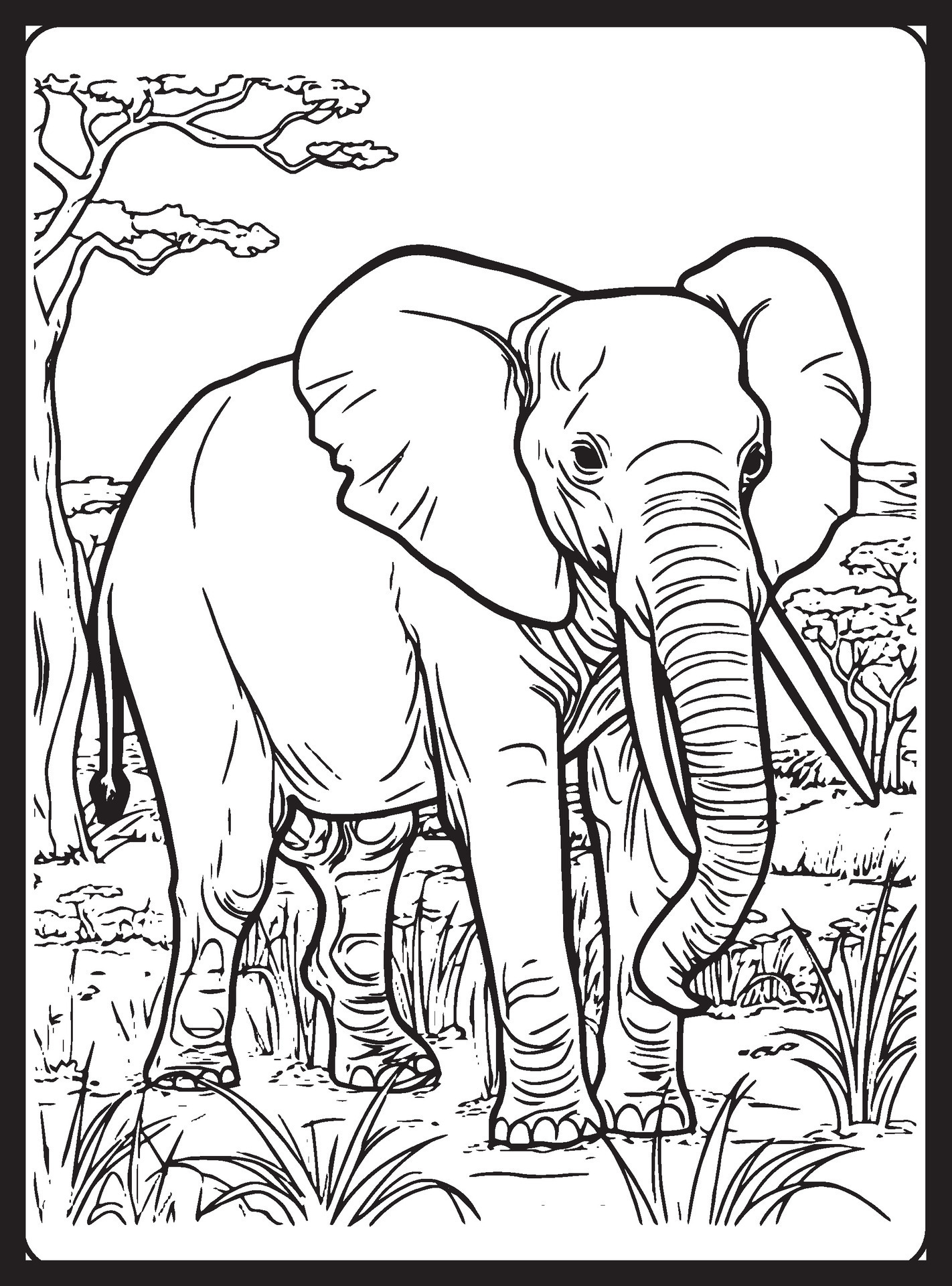 Elefante Africano Básico para colorir