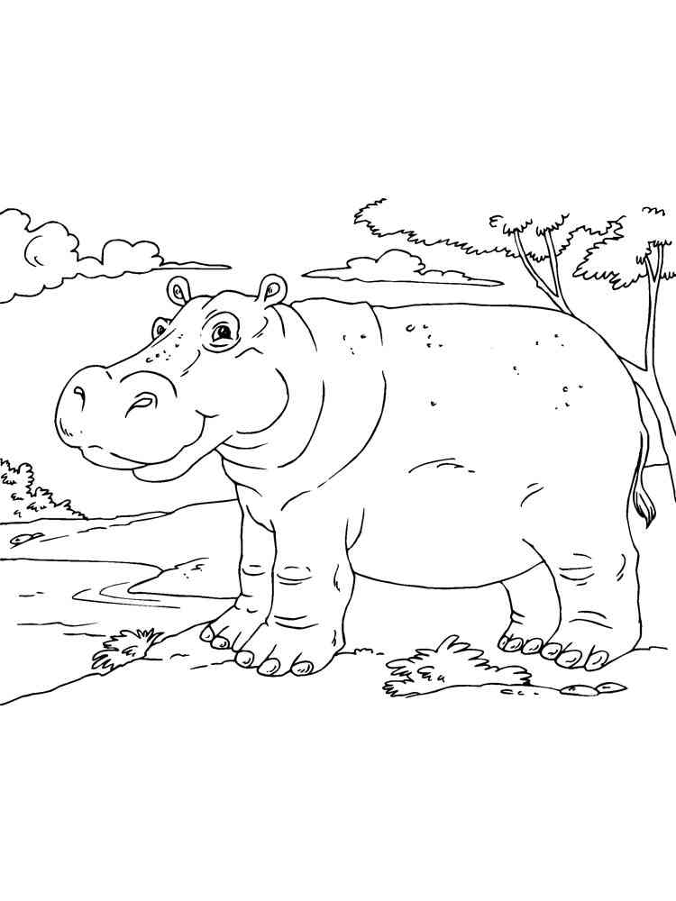 Hipopótamo Africano para colorir