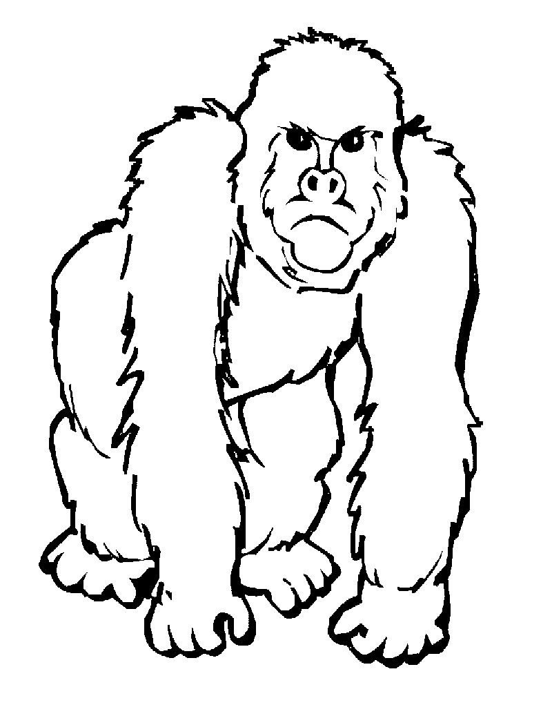 Desenhos de King Kong Africano para colorir