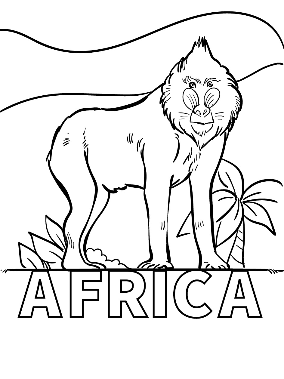 Macaco Africano para colorir