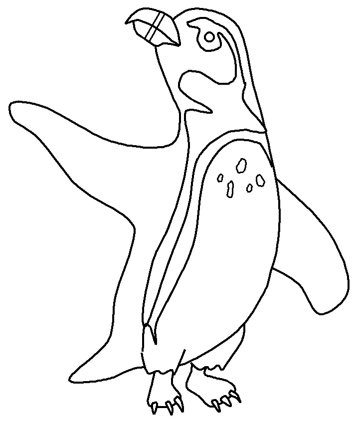 Pinguins Africanos para colorir
