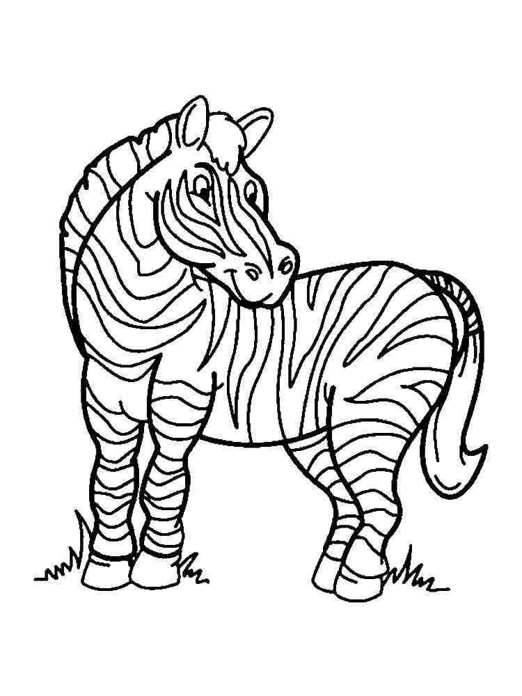 Zebra Africana para colorir