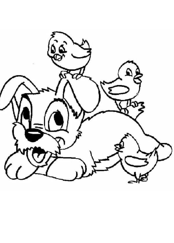 Desenhos de Cachorro Brincando Com Pássaros para colorir
