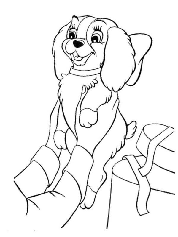 Desenhos de Presente de Cachorrinho para colorir