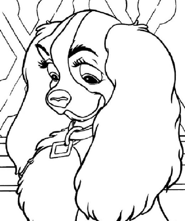 Desenhos de Senhora do Cachorrinho Sortudo para colorir