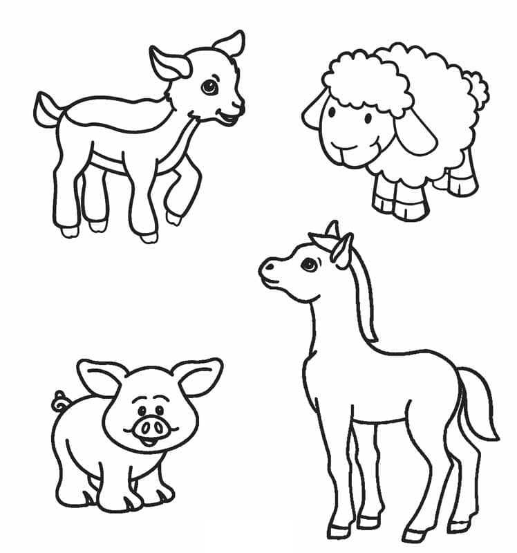 Desenhos de Foto de animais de fazenda grátis para colorir