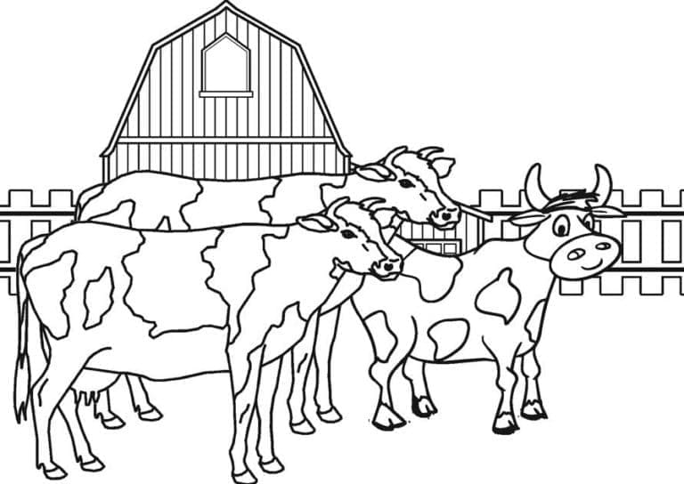 Imagem de vacas na fazenda para colorir