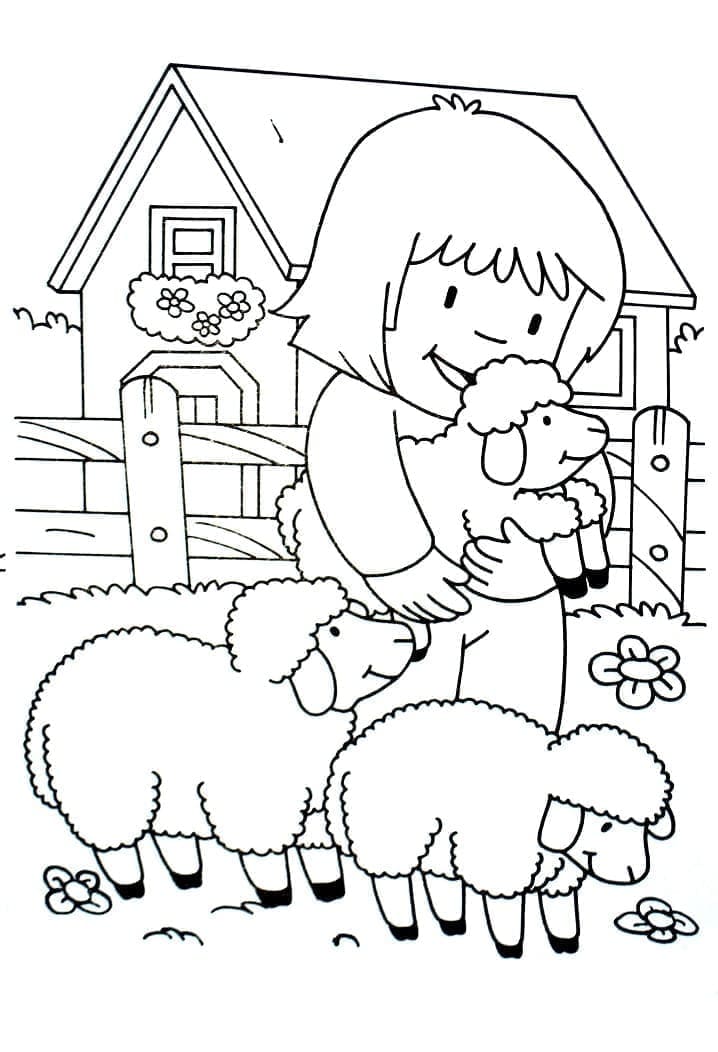 Desenhos de Menina e ovelhas na fazenda para colorir
