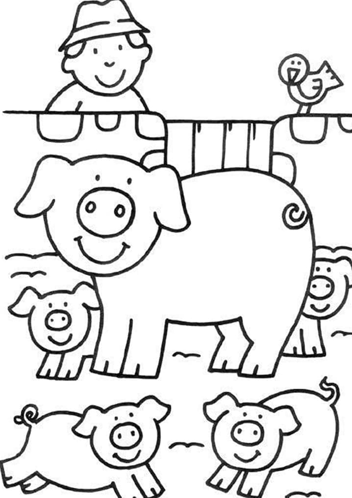 Desenhos de Porcos na Fazenda para colorir